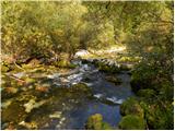 Stara Fužina - Planina pod Mišelj vrhom